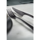 Zwilling Bellasera Slate 20 Piece Flatware Set