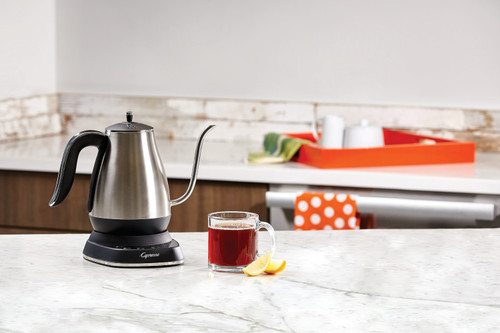 Capresso Pour-Over Gooseneck Kettle - Stainless Steel